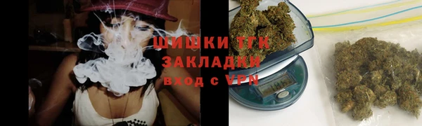 дживик Верхний Тагил