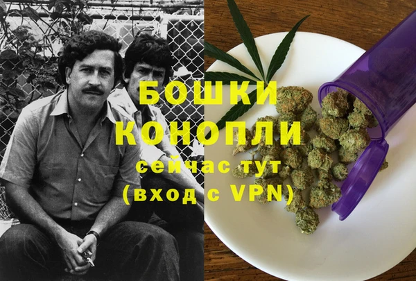 МДПВ Бронницы