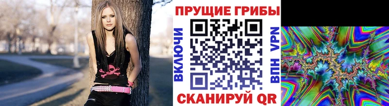 купить наркотики цена  Энем  Псилоцибиновые грибы Psilocybine cubensis 
