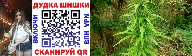 Бошки марихуана Ganja  магазин    Энем 